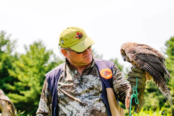 Simcoe Canada Ιουλ 2021 Επαγγελματίας Χειριστής Πουλιών Εκπαιδεύει Μια Κουκουβάγια — Φωτογραφία Αρχείου
