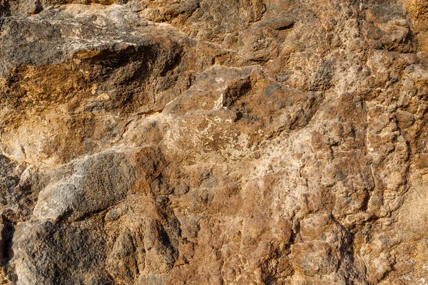 Bir Kayanın Yakın Çekimi — Stok fotoğraf