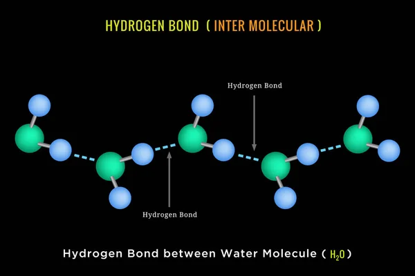 Enlace Hidrógeno Enlace Intermolecular Hidrógeno Entre Moléculas Agua — Foto de Stock