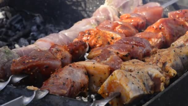 Grilled Meat Barbecue Grill — Stock Video