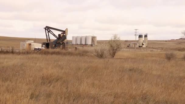 Oil Pump Field — Stock Video
