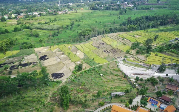 Aerial View Houses Road Village Surrounded Trees Countryside — Stock Photo, Image