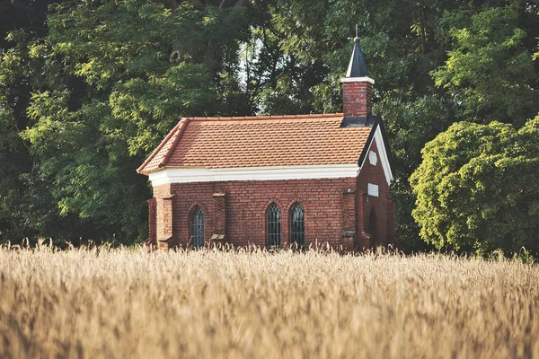 Eine Alte Backsteinkirche Auf Dem Feld Mit Den Bäumen Hintergrund — Stockfoto