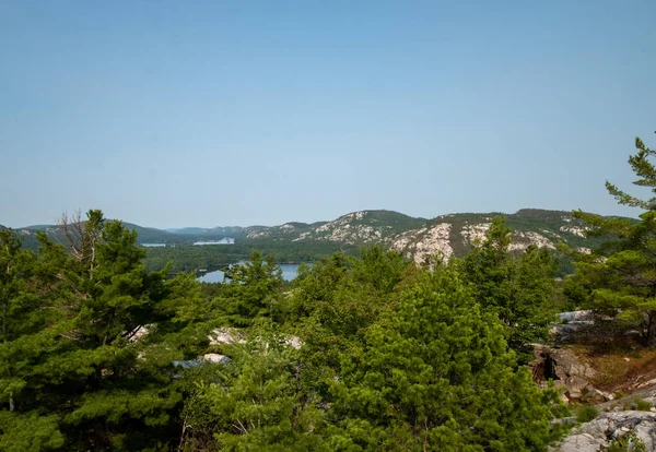 Jezerní Záliv Jehličnanů Sudbury Ontario Kanada — Stock fotografie