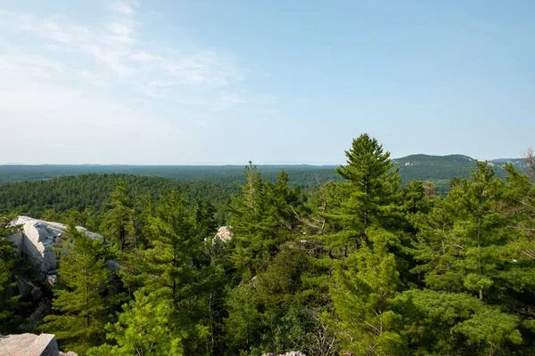 Jehličnatý Les Kopcích Slunečného Dne Sudbury Ontario Kanada — Stock fotografie