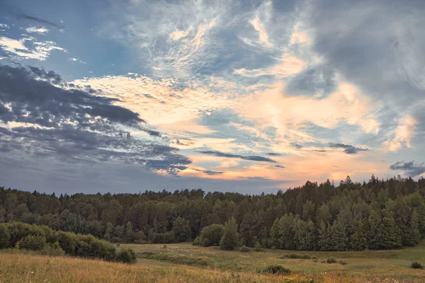 Campo Con Bosque Pinos Bajo Colorido Cielo Atardecer Junto Montículo —  Fotos de Stock