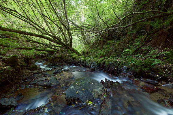 Hermoso Paisaje Una Cascada Bosque Galicia España — Foto de Stock