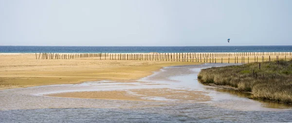 Панорамный Вид Синее Море Водно Болотные Угодья — стоковое фото