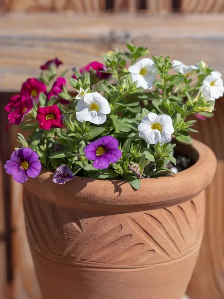 Vertical Shot Colorful Flowers Brown Container — Stock Photo, Image