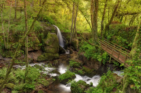 Uma Bela Paisagem Uma Cachoeira Uma Floresta Galiza Espanha — Fotografia de Stock