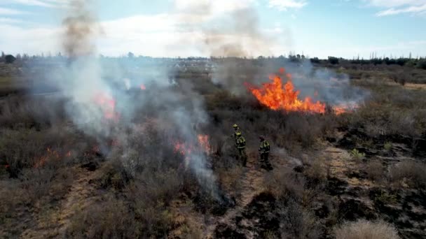 Llamas Fuego Suelo — Vídeo de stock