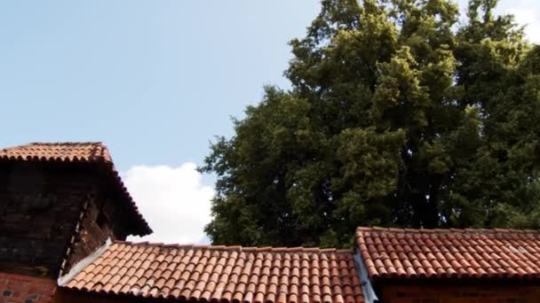 Vista Del Paisaje Con Antiguo Castillo Medieval Isla Trakai Día — Vídeo de stock