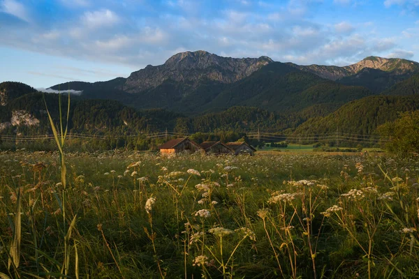 High Angle Shot Landscape Valley Mountains Background — Stock Photo, Image