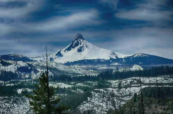 Monte Washington Contra Cielo Azul Con Árboles Primer Plano Después —  Fotos de Stock