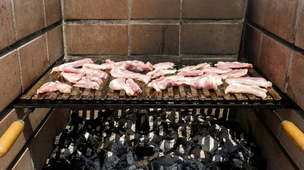 Slices Poultry Meat Being Cooked Coals — Stock Photo, Image