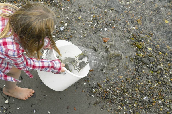 Ein Junges Mädchen Gießt Wasser Aus Einem Eimer Voller Krabben — Stockfoto
