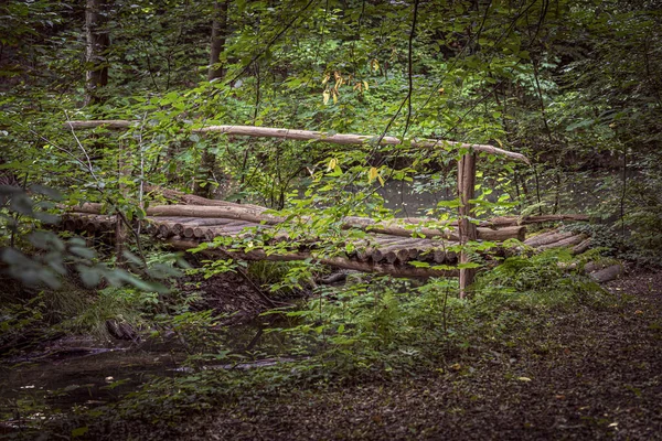 Drewniany Kładka Gęstym Lesie Niedaleko Cottbu — Zdjęcie stockowe
