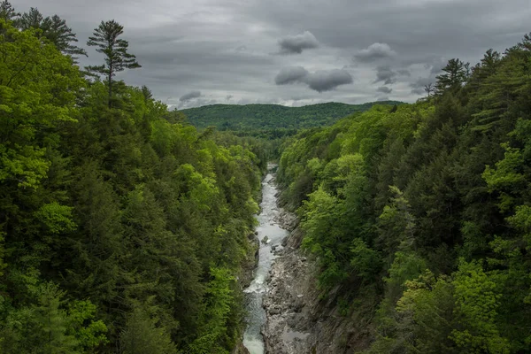 River Going Trees Viewed — Stock Photo, Image