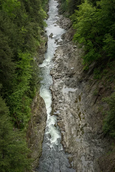 Río Que Entre Los Árboles Vistos Desde Arriba — Foto de Stock
