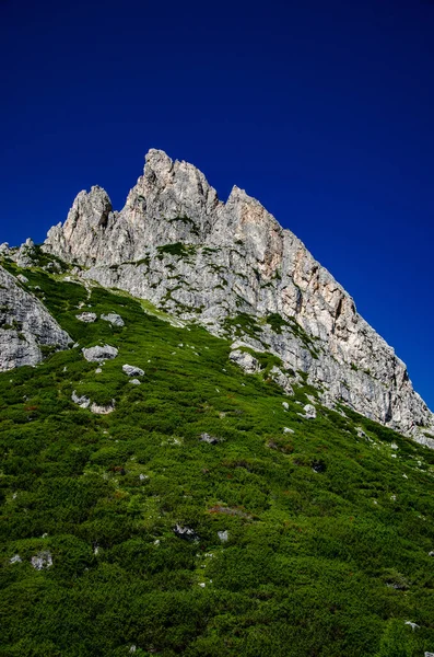 青い空の下で岩や草が茂る山の山頂の近景 — ストック写真