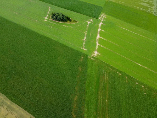 Flygbild Ett Vidsträckt Jordbruksområde Landsbygden — Stockfoto