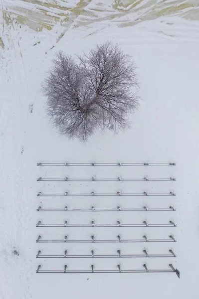 Eine Vertikale Aufnahme Von Einem Baum Und Metallzäunen Vor Schneebedecktem — Stockfoto