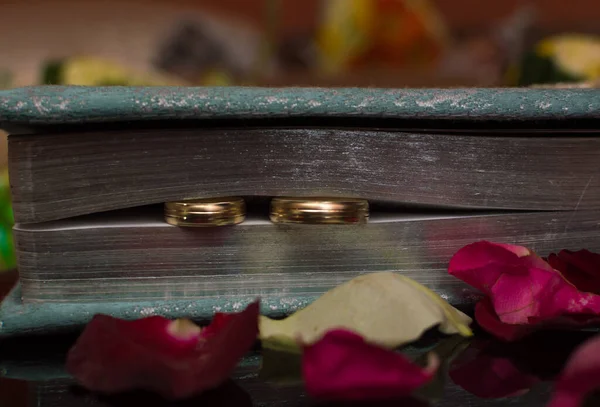 Close Anéis Casal Casamento Entre Páginas Livros Pétalas Rosa — Fotografia de Stock
