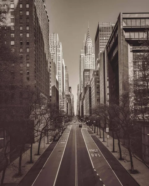 Een Close Van Een Straat Met Droge Bomen Tussen Wolkenkrabbers — Stockfoto