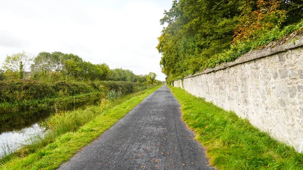 Catwalk Vid Kanal Kantad Träd Och Gräs — Stockfoto