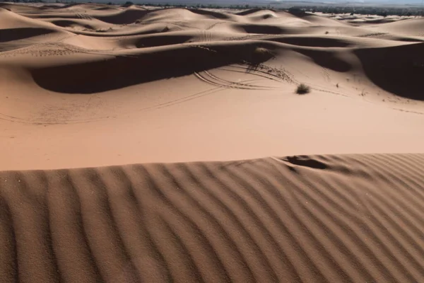 Una Vista Panorámica Desierto Suave Día Tranquilo —  Fotos de Stock