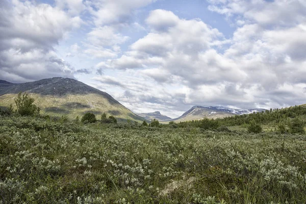 노르웨이 공원의 아름다운 — 스톡 사진
