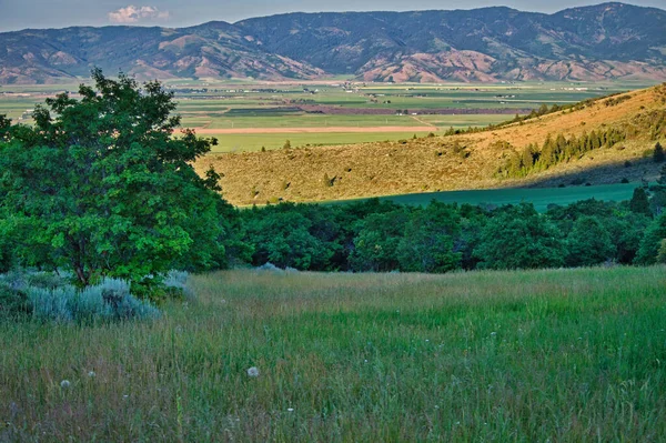 Vaste Paysage Verdoyant Avec Des Chaînes Montagnes Fond Pendant Coucher — Photo