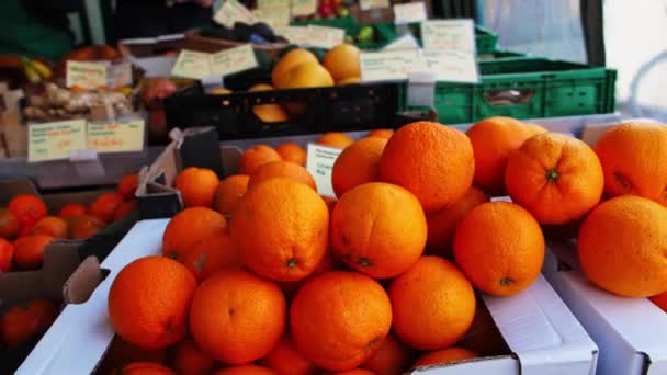 Frutas Frescas Puesto Mercado — Vídeos de Stock