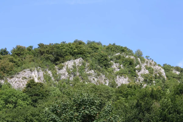 一张被绿树覆盖的岩石山的特写照片 — 图库照片