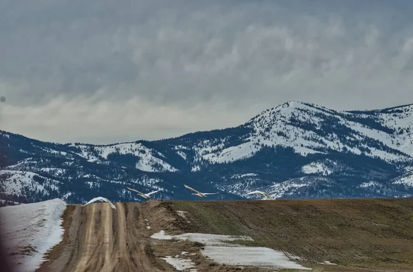 Eine Winterlandschaft Aus Unbefestigter Straße Mit Gebirgshintergrund Unter Düsterem Himmel — Stockfoto