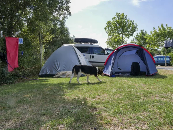 Egy Kemping Egy Napsütéses Napon — Stock Fotó