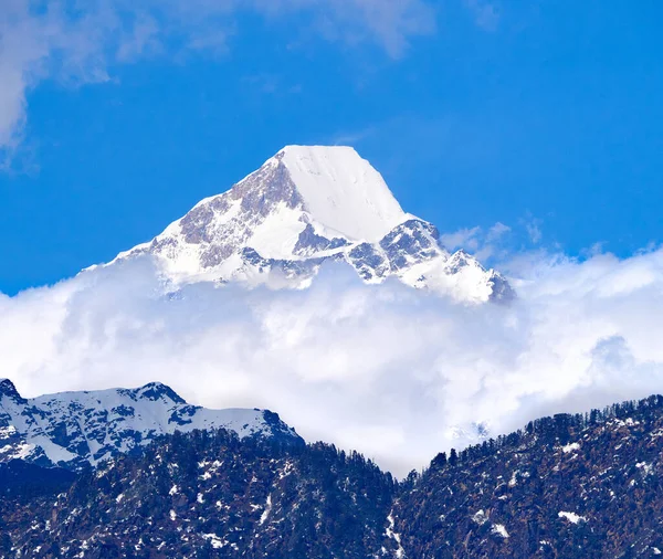 Een Prachtig Uitzicht Bomen Bergtop Bedekt Met Sneeuw Een Winterdag — Stockfoto