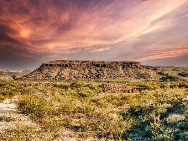 Hermoso Paisaje Zonas Tundra Atardecer — Foto de Stock