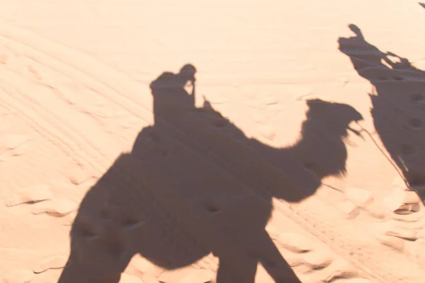 Uma Vista Panorâmica Das Sombras Dos Viajantes Montando Camelos Deserto — Fotografia de Stock