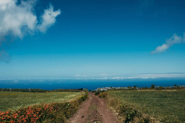 Uitzicht Een Weg Die Leidt Naar Blauwe Zee Een Heldere — Stockfoto