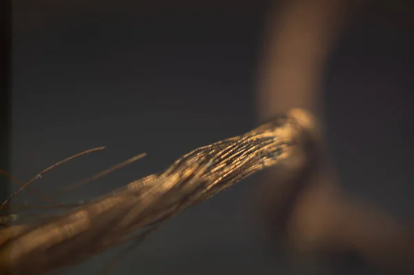 暗い背景に裸の銅線の選択的フォーカスショット — ストック写真