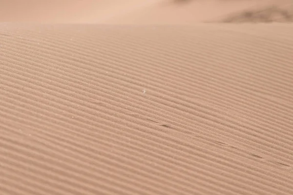 Uma Vista Panorâmica Deserto Suave Dia Calmo — Fotografia de Stock