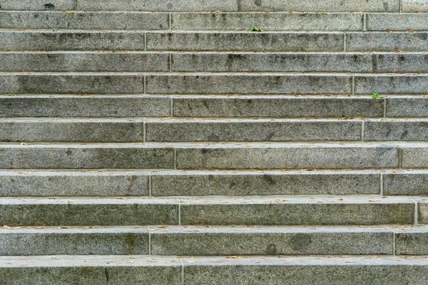 Gros Plan Des Marches Bâtiment Historique Avec Vieux Motifs — Photo