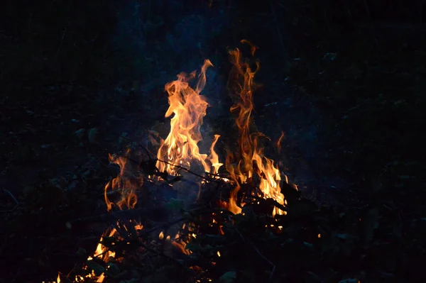 森林里夜间篝火的美丽景色 — 图库照片