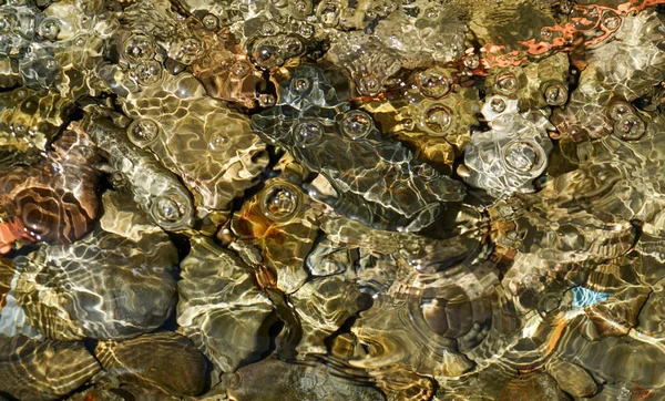 Primer Plano Guijarros Agua Transparente —  Fotos de Stock