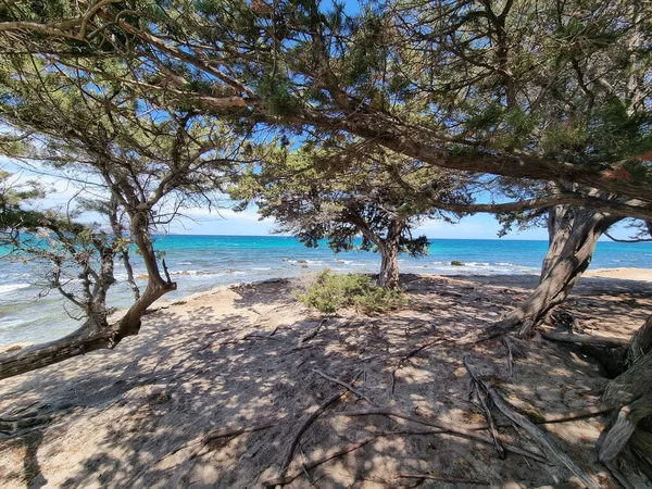 Mer Vue Plage Sous Ciel — Photo