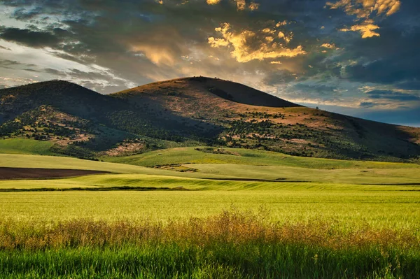 Eine Riesige Grüne Landschaft Mit Bergketten Hintergrund Bei Sonnenuntergang — Stockfoto