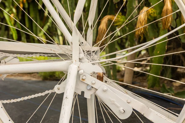 Een Close Opname Van Een Witte Klassieke Fiets Een Park — Stockfoto