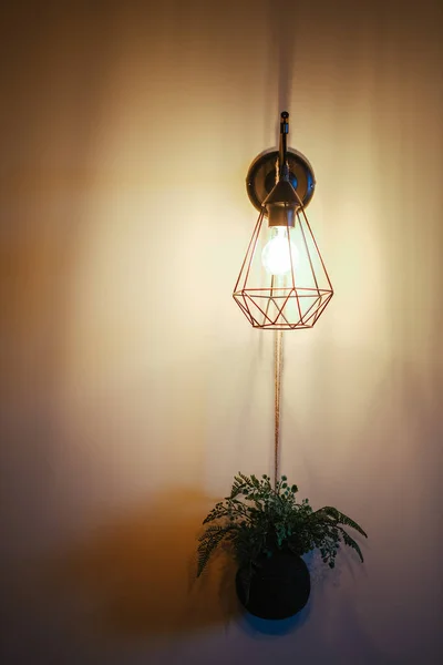 Plan Vertical Une Ampoule Dans Une Lampe Moderne Une Plante — Photo