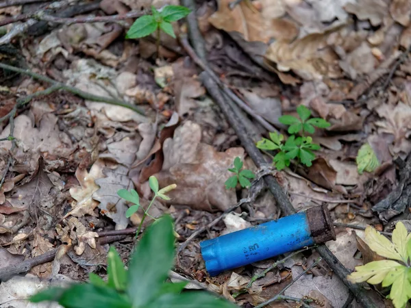 Una Vista Cerca Hojas Sucias Suelo Basura Bosque —  Fotos de Stock